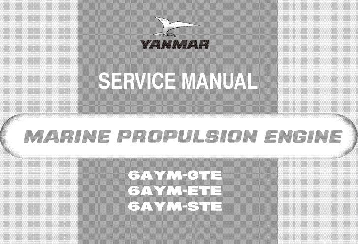 Yanmar 6AYM-GTE, 6AYM-ETE, 6AYM-STE Engine Service Manual