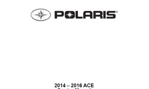 Polaris 2014-2016 ACE 570, 900 Service Repair Manual